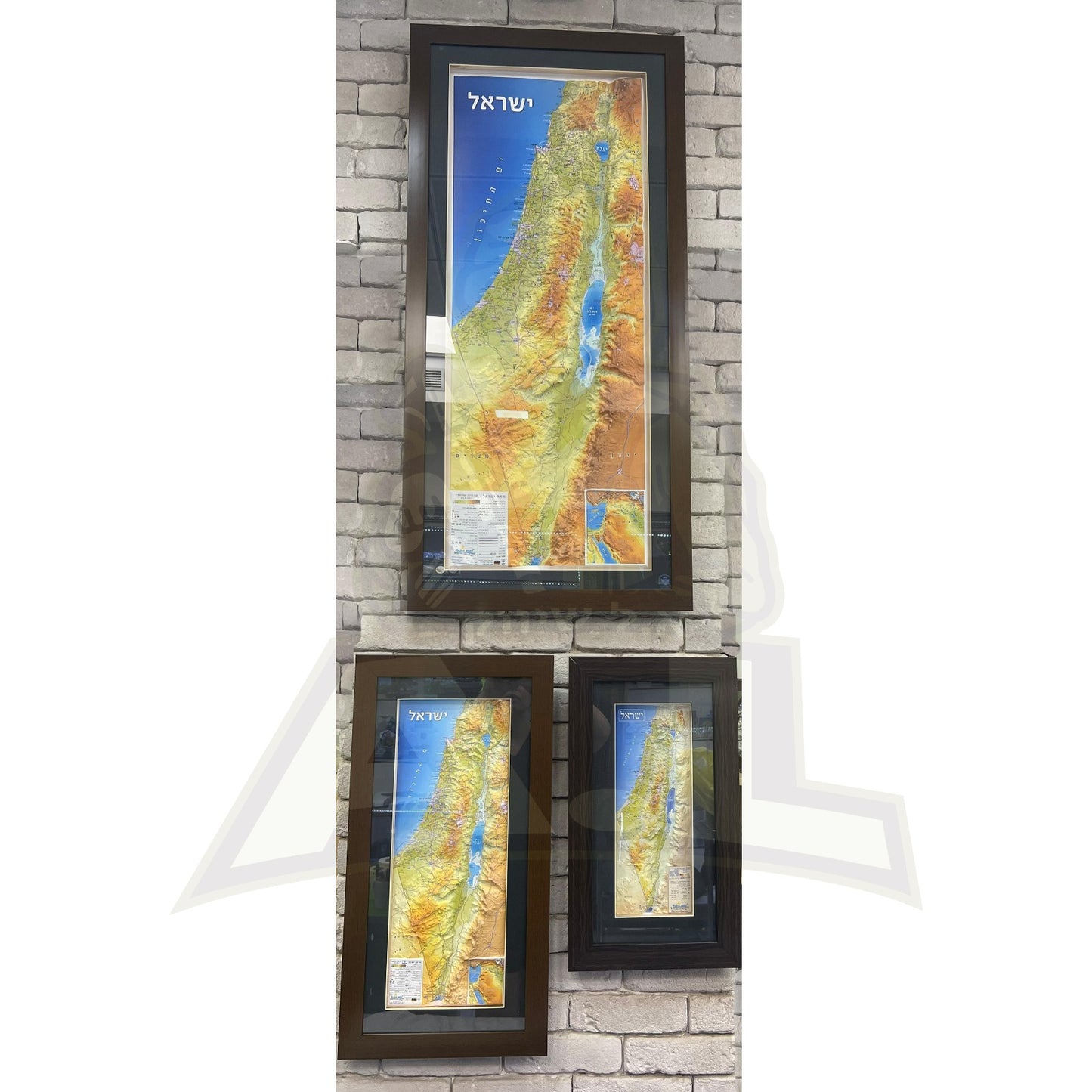 מפת ארץ ישראל תלת מימד